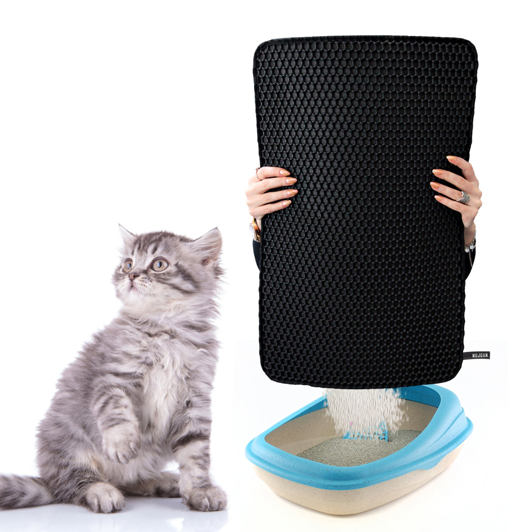 Waterproof, Double Layer, Washable Cat Litter Mat (30x22 CM)
