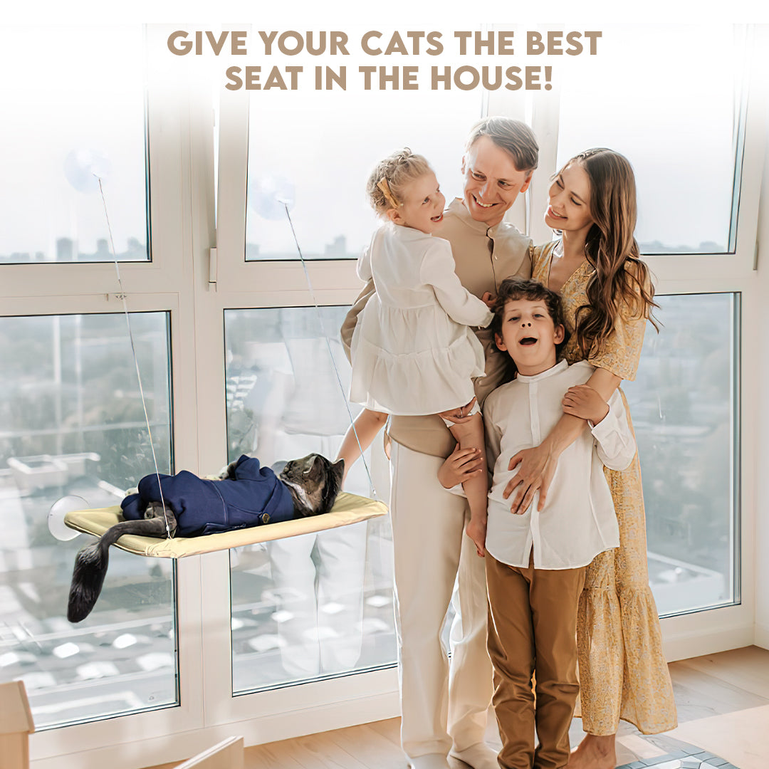 Comfortable Window Mounted Cat Hammock for Pet Relaxation