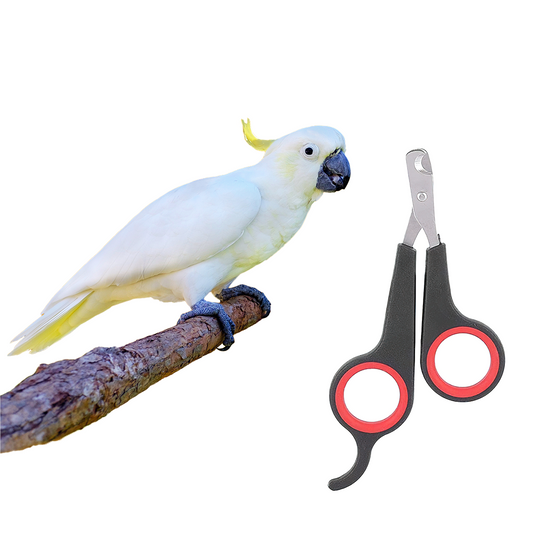 Professional Pet Nail Clippers for Easy Grooming