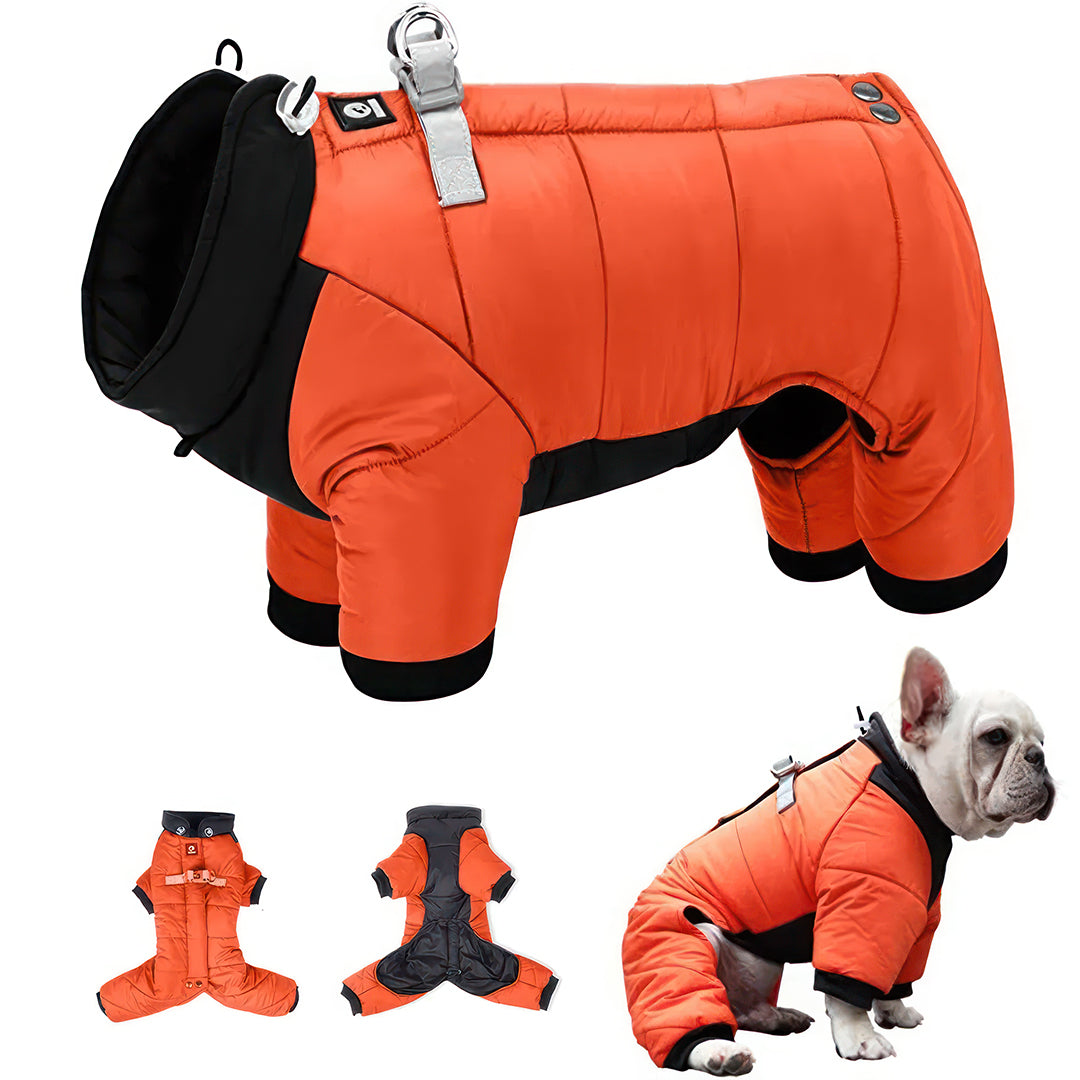 L Size Windproof & Waterproof Full Body Warm Dog Coat (Orange)