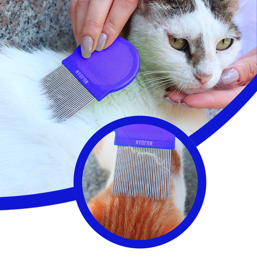 Durable Metal Flea Comb in Blue for Pet Grooming