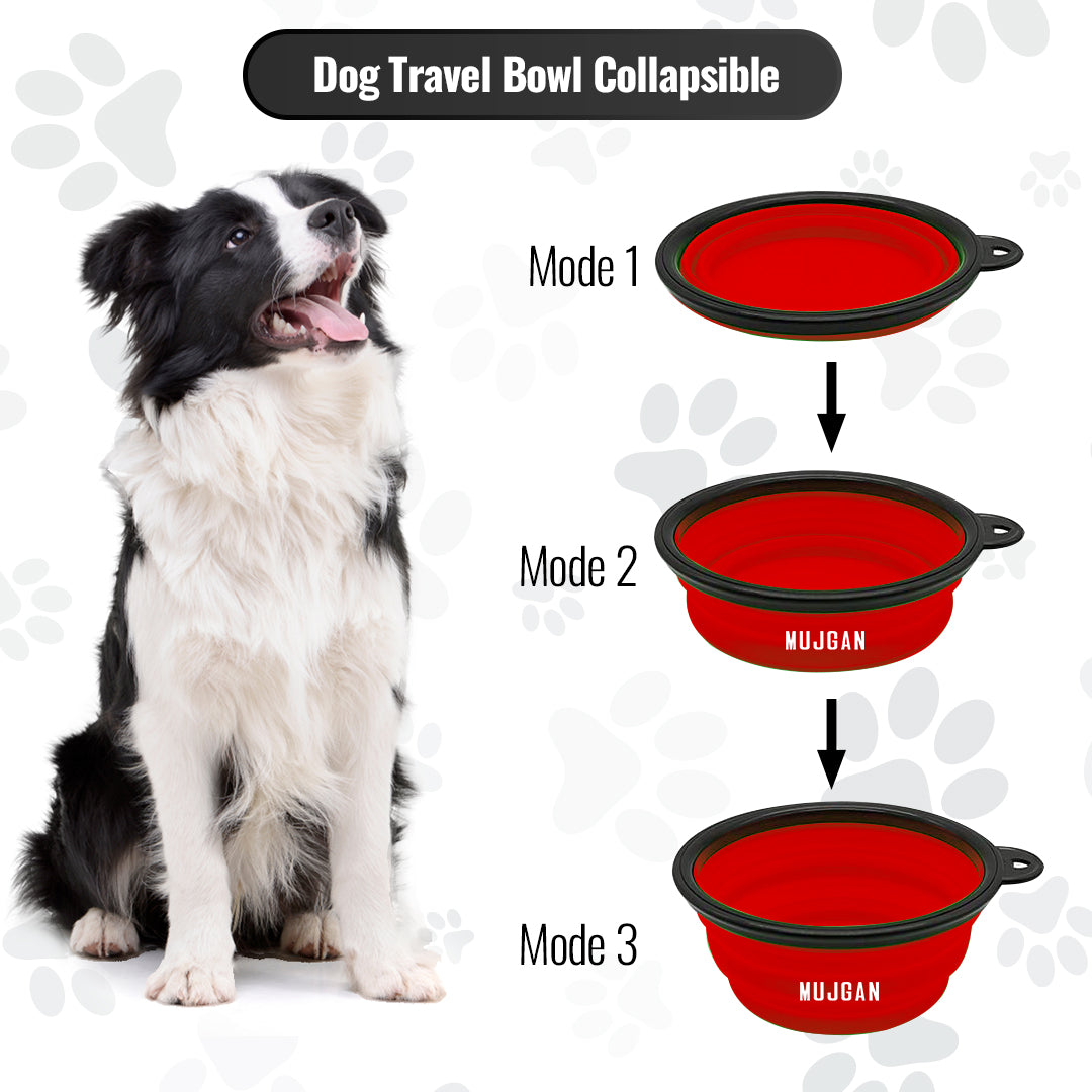 Silicone Portable Pet Bowl Collapsible (Red)
