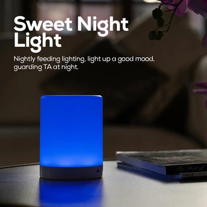 Touch Sensor Table Lamp (Warm White Light & Color Changing RGB)