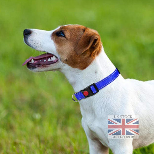 Durable Adjustable Dog Collar in Blue for All Sizes
